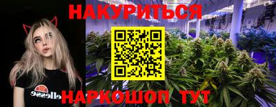 шишки Лесосибирск