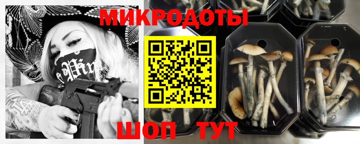 Псилоцибиновые грибы прущие грибы Йошкар-Ола