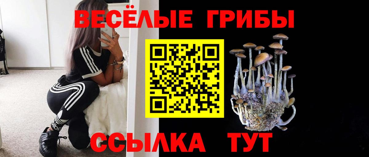 Йошкар-Ола  Галлюциногенные грибы прущие грибы  Вход с VPN 